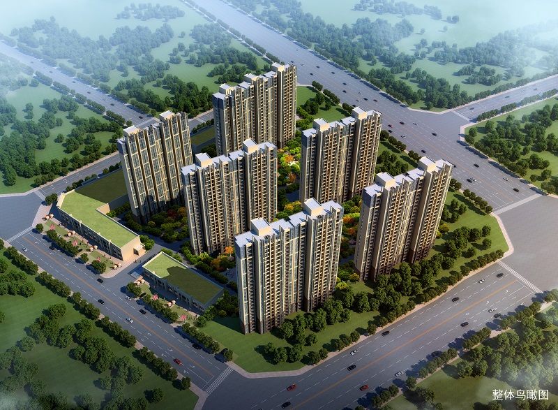 鸟瞰图.jpg